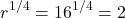 \[r^{1/4} = 16^{1/4} = 2\]