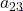 a_{23}