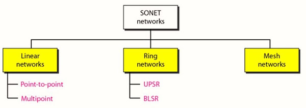 Taxonomy of SONET networks