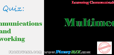 OnlinePracticeQuizinMultimedia 2