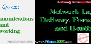 OnlinePracticeQuizinNetworkLayer Delivery2CForwardingandRouting 4