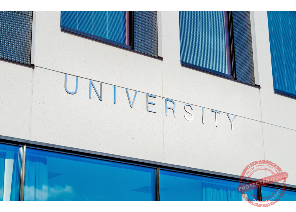 4-year Colleges vs. Technical Schools: Your Choice - img2