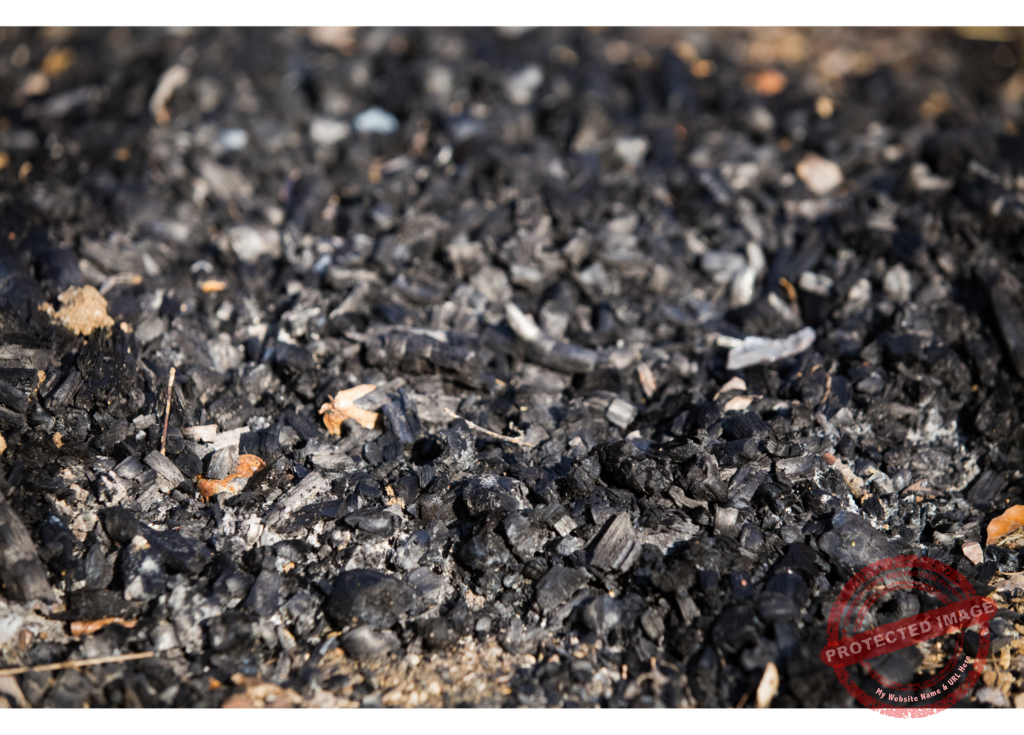 An Overview of Biomass Energy-2