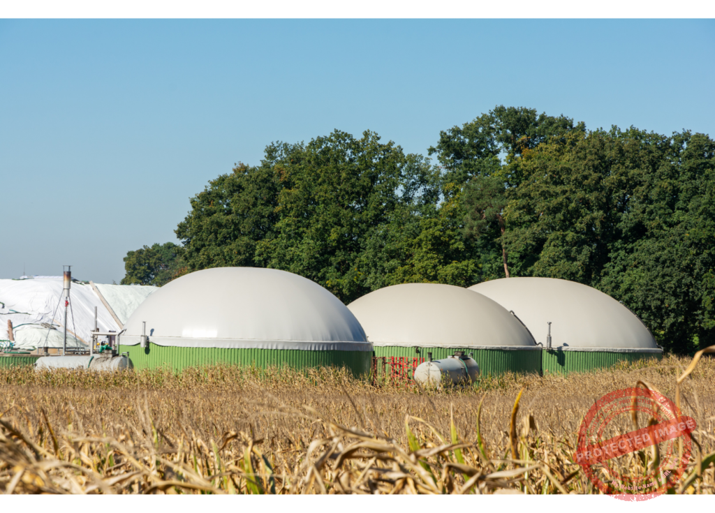 An Overview of Biomass Energy-3