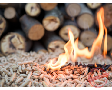 An Overview of Biomass Energy An Overview of Biomass Energy