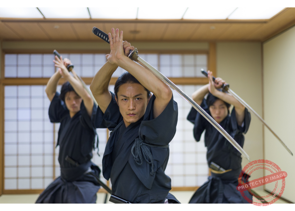 An Overview of the Samurai