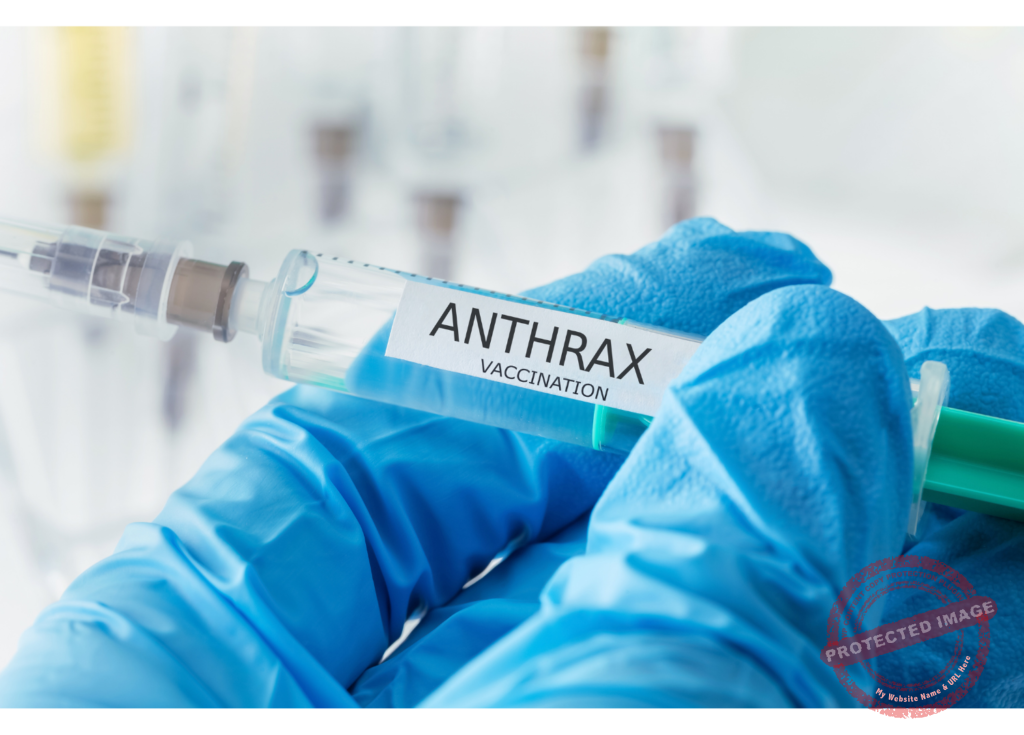 Anthrax as a Natural Curse and Dangerous Biological Weapon-1