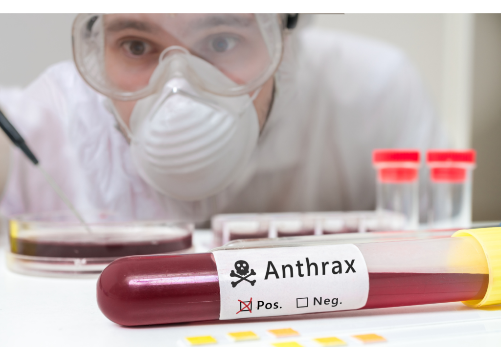 Anthrax as a Natural Curse and Dangerous Biological Weapon