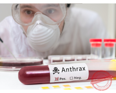 Anthrax as a Natural Curse and Dangerous Biological Weapon Anthrax as a Natural Curse and Dangerous Biological Weapon