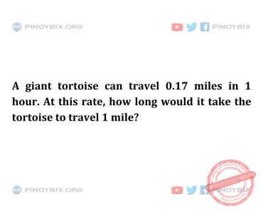 Solution: How long would it take the tortoise to travel 1 mile?