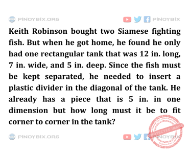 Solution: How long must it be to fit corner to corner in the tank?