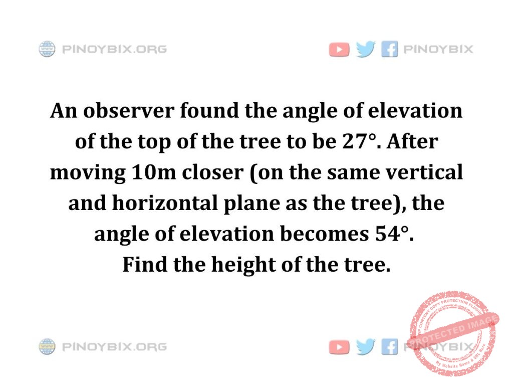 Solution: Find the height of the tree