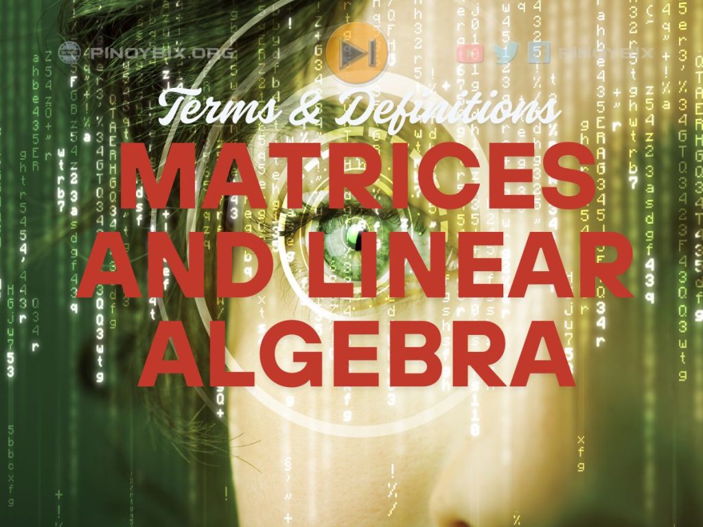 251 Matrices and Linear Algebra Terms and Definitions | Mathematics Board Exam Review